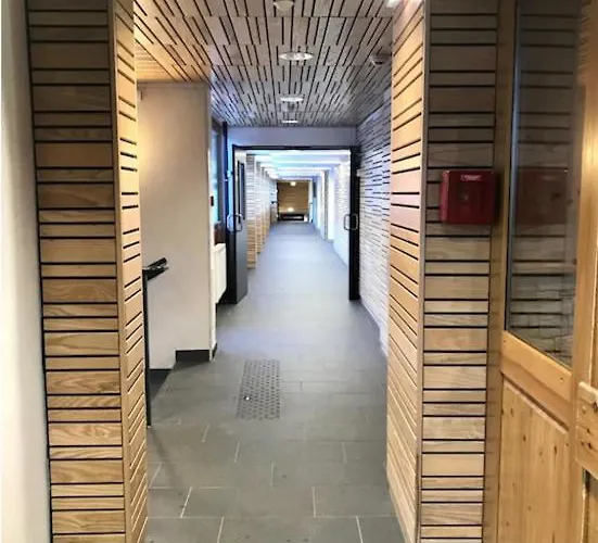 Renove Au Pied Des Pistes La Plagne