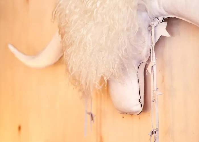 Renove Au Pied Des Pistes La Plagne