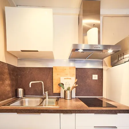 Renove Au Pied Des Pistes Apartment La Plagne