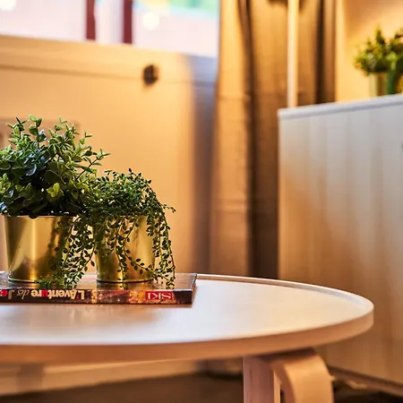 Renove Au Pied Des Pistes