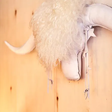 Renove Au Pied Des Pistes La Plagne