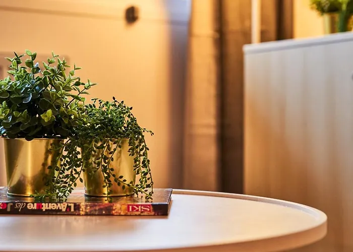 Renove Au Pied Des Pistes