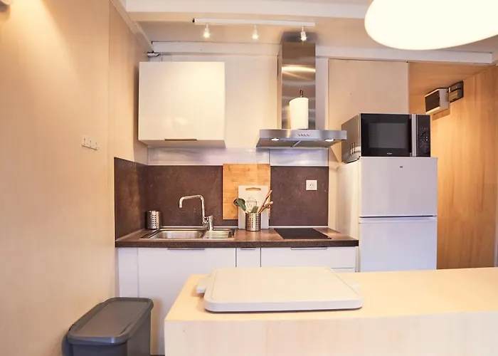 Renove Au Pied Des Pistes